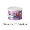 Cera depilatoria liposolubile ai frutti di bosco Special Flavours 400 ml. B246 Holiday